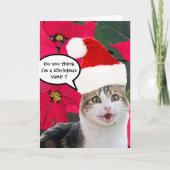 サンタクロース帽とポインセチアを持つクリスマスキャット シーズンカード (正面)