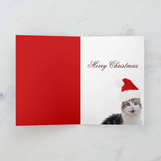 サンタクロース帽とポインセチアを持つクリスマスキャット シーズンカード (内部)