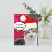 サンタクロース帽とポインセチアを持つクリスマスキャット シーズンポストカード (スタンド正面)