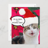 サンタクロース帽とポインセチアを持つクリスマスキャット シーズンポストカード (正面/裏面)