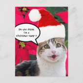 サンタクロース帽とポインセチアを持つクリスマスキャット シーズンポストカード (正面)