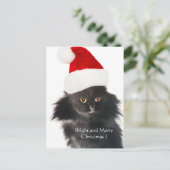 サンタクロース帽の黒いクリスマス猫 シーズンポストカード (スタンド正面)