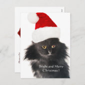 サンタクロース帽の黒いクリスマス猫 シーズンポストカード (正面/裏面)