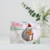 サンタクロース帽をかぶったクリスマスリス シーズンポストカード (スタンド正面)