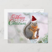 サンタクロース帽をかぶったクリスマスリス シーズンポストカード (正面/裏面)