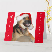 サンタクロース帽をかぶったドイツの羊飼い カード (黄色い花)