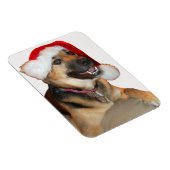 サンタクロース帽をかぶったドイツの羊飼い マグネット (右側)