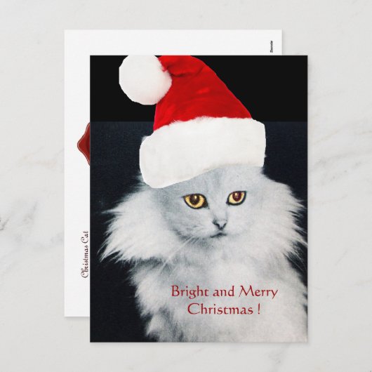 サンタクロース帽子をかぶった白いクリスマス猫 シーズンポストカード (正面/裏面)