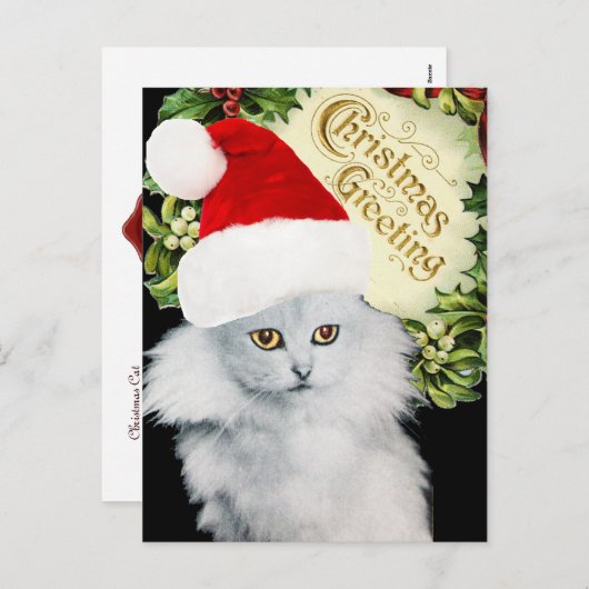 サンタクロース帽子をかぶった白いクリスマス猫 シーズンポストカード (正面/裏面)