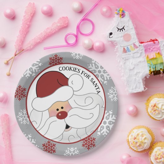 サンタクロース愛らしいアートビージェスのためのクッキー ペーパープレート (パーティー)