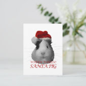 サンタクロース豚ギニアピグクリスマス シーズンポストカード (スタンド正面)