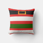 サンタクロース、クリスマスシーズンギフト クッション (正面)