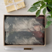 サンタクロース 薄葉紙 (ギフト)