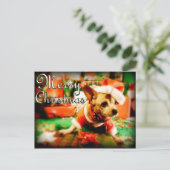 サンタクローChihuahuaメリークリスマス シーズンポストカード (スタンド正面)