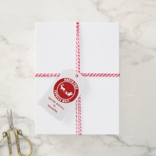 サンタク表現リスマスからの贈り物 ギフトタグ (より糸付き)