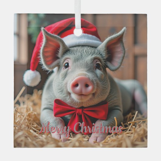 サンタグレーピグガラスオーナメント ガラスオーナメント (正面)