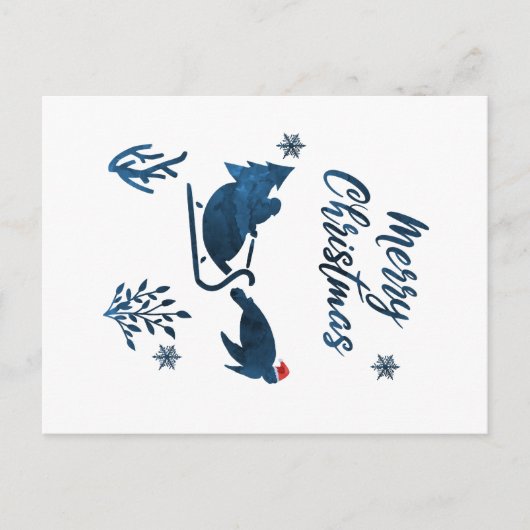 サンタシーカメ ポストカード (正面)