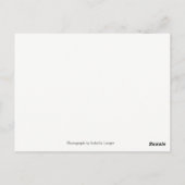 サンタシーズー(犬)TZUガールポストカード ポストカード (裏面)