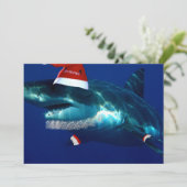 サンタジョーズ シーズンカード (スタンド正面)