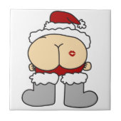 サンタスお尻 タイル (正面)