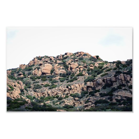 サンタスサナパス州パーク フォトプリント            (正面)