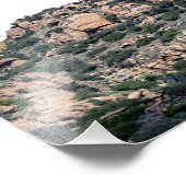 サンタスサナパス州パーク フォトプリント            (角)