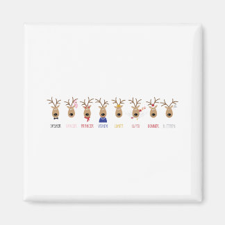 サンタストインデナー マグネット