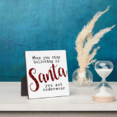 サンタストップでは下着が付く フォトプラーク (インサイチュ)