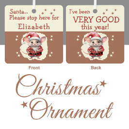 サンタストップは、かわいいネズミの茶色の名前 メタルオーナメント