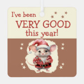 サンタストップは、かわいいネズミの茶色の名前 メタルオーナメント (裏面)