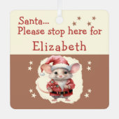 サンタストップは、かわいいネズミの茶色の名前 メタルオーナメント (正面)