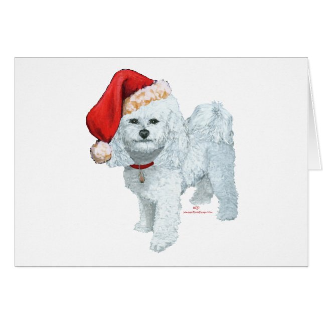 サンタスヘルパー (正面横)