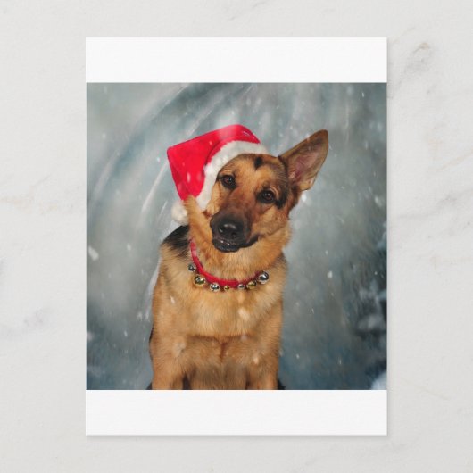 サンタスヘルパー シーズンポストカード (正面)