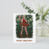 サンタスリトルヘルパソフィー シーズンポストカード (スタンド正面)