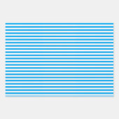 サンタス ラッピングペーパーシート (正面2)