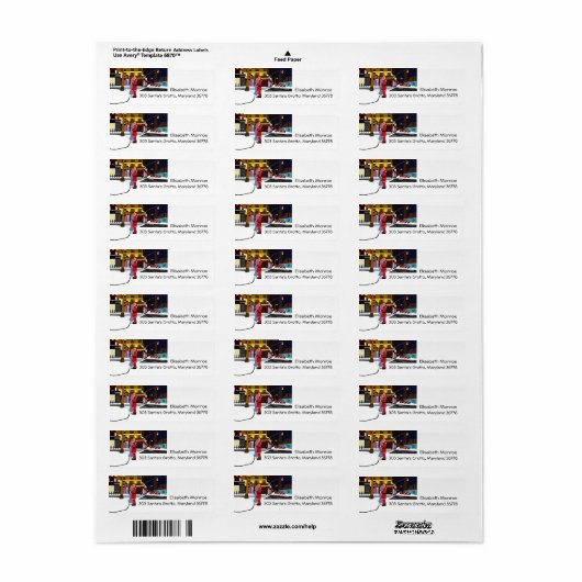 サンタズキスオンブロードウェイクリスマス ラベル (フルシート)