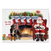 サンタズギフトベルネーズマウンテンドッグホリデー (正面横)