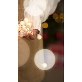 サンタズスノーバードフラミンゴカスタム Tシャツ