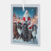 サンタズニューフィズ ガラスオーナメント (正面左)