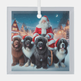 サンタズニューフィズ ガラスオーナメント