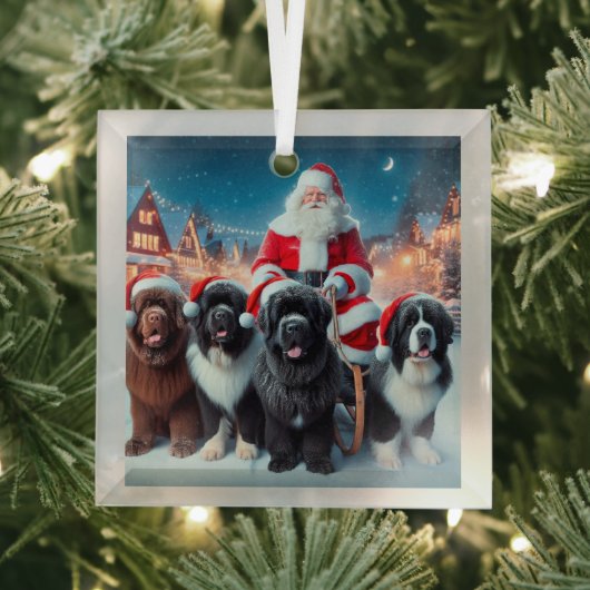 サンタズニューフィズ ガラスオーナメント (インサイチュ)