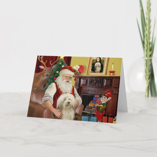 サンタズビードコリー(16位) シーズンカード (正面)