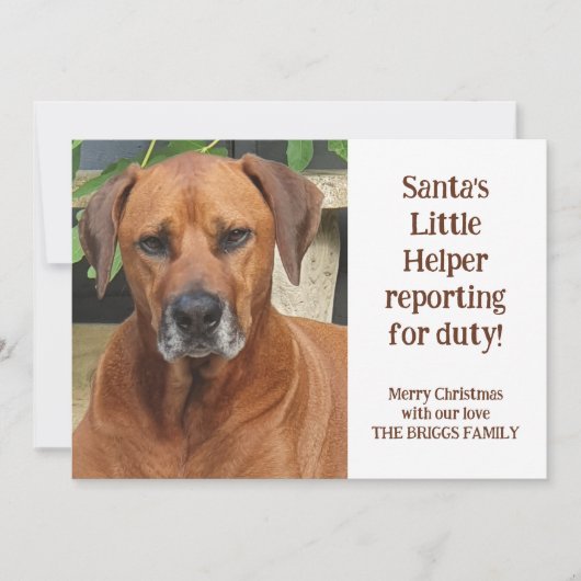 サンタズリトルヘルパーカスタムペット写真クリスマス シーズンカード (正面)