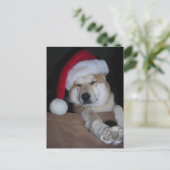 サンタズリトル柴犬ヘルパー シーズンポストカード (スタンド正面)