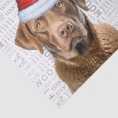 サンタチェサピークベイドッグフェスティバルクリスマスホリデー 薄葉紙 (詳細)