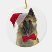 サンタテルブレンオーナメント セラミックオーナメント (正面)