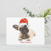 サンタドッグフランスのがブルドッグかわいい子犬のクリスマスドッグ シーズンカード (スタンド正面)
