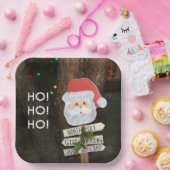 サンタノースポールホーホホ ペーパープレート (パーティー)