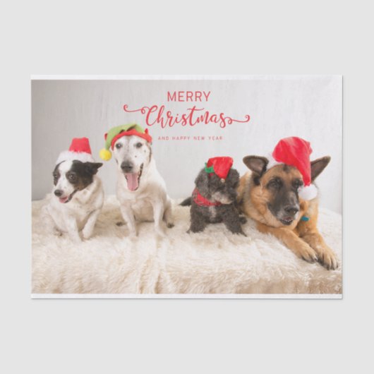 サンタハットで楽しいクリスマス犬 薄葉紙 (正面)