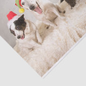サンタハットで楽しいクリスマス犬 薄葉紙 (詳細)